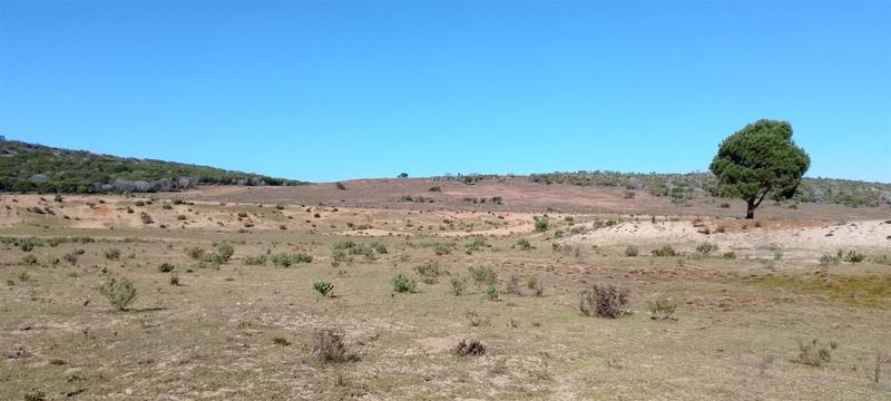 0 Bedroom Property for Sale in Gouritsmond Western Cape